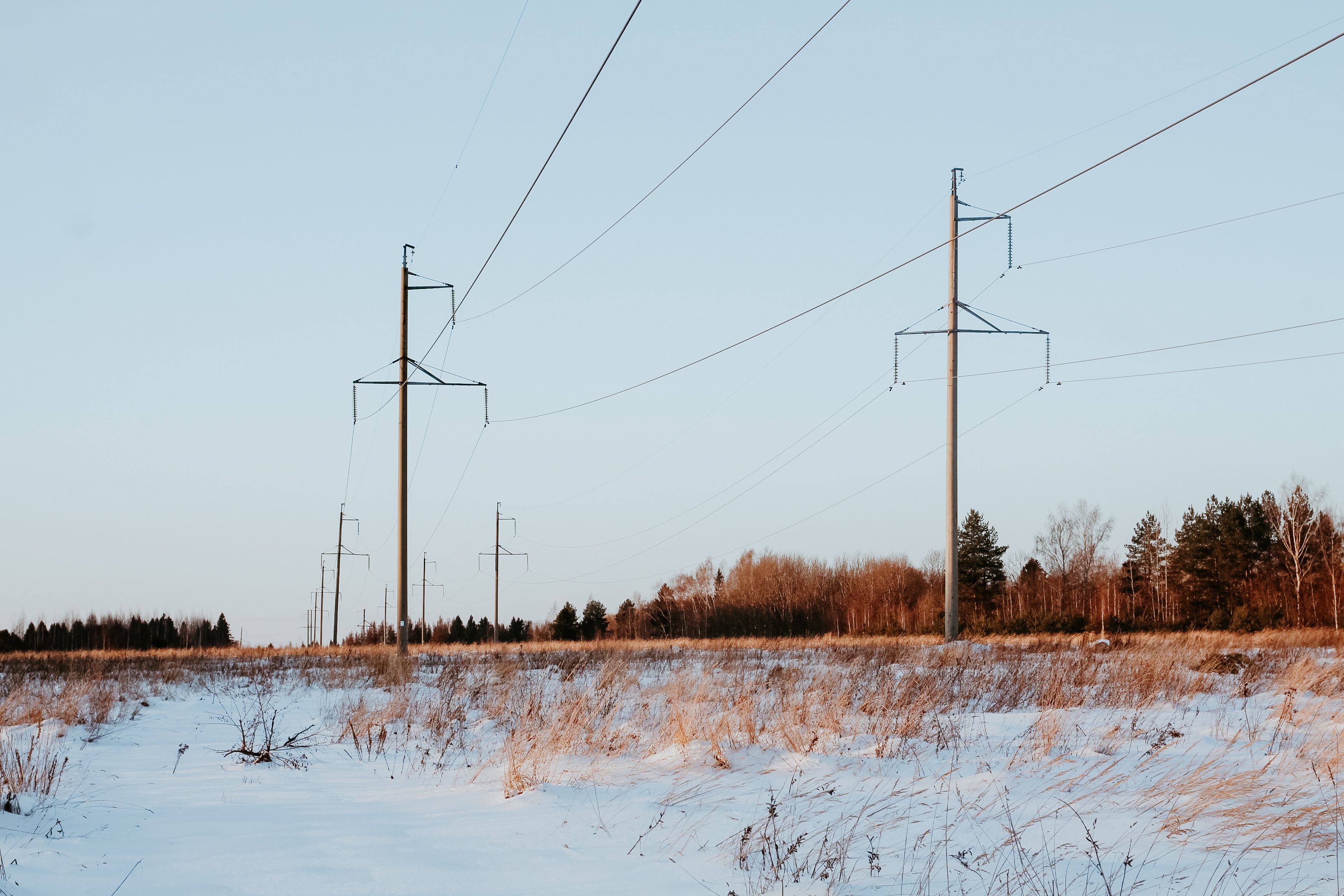 [snowy-field-with-trees-power-lines-winter-day.jpg]