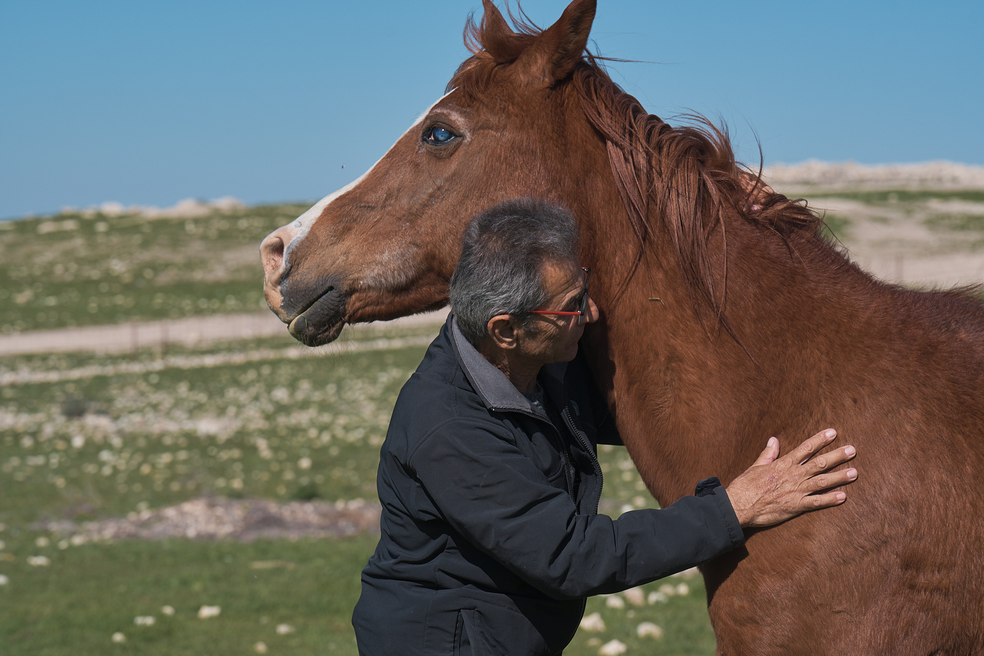חוות זעק- חווה של אהבה