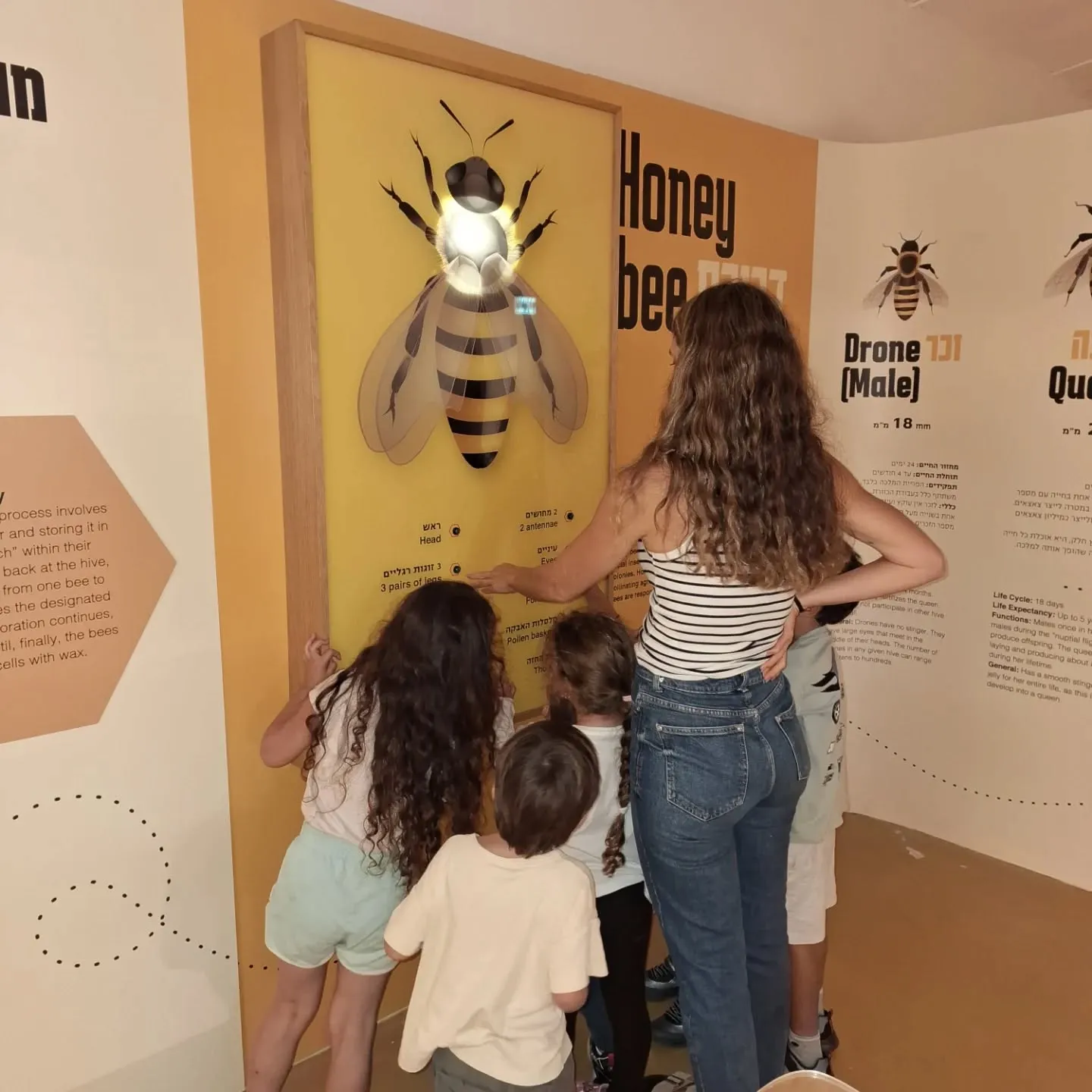 תיירות יד מרדכי-חוויה קיבוצית מתוקה