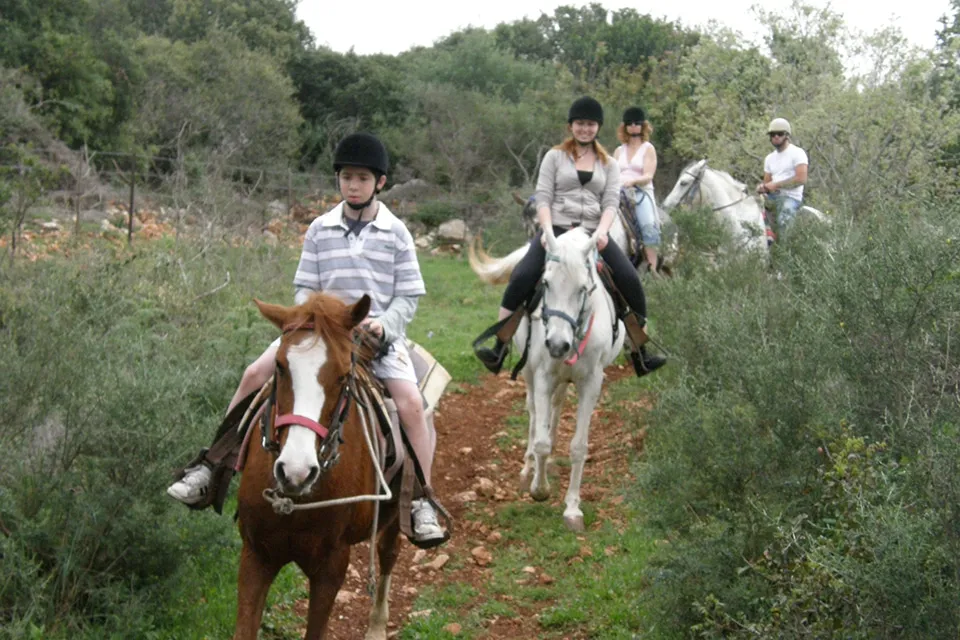 חוות מונפרטיטו