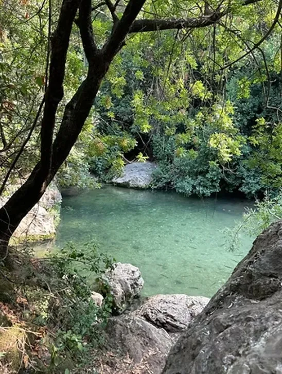 עין טמיר ובריכת הדולבים