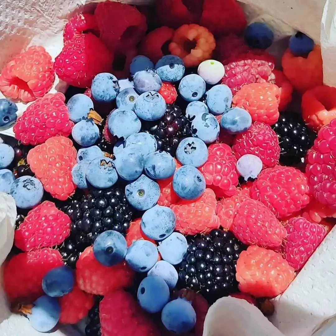 Barak's Berries