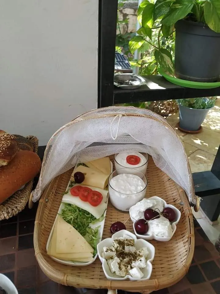 השקדיה בגלבוע