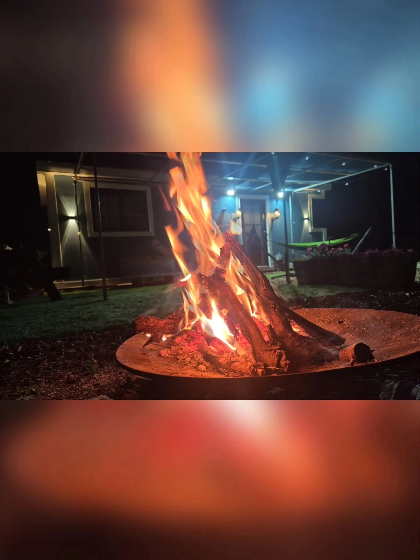 הבקתה של גדי