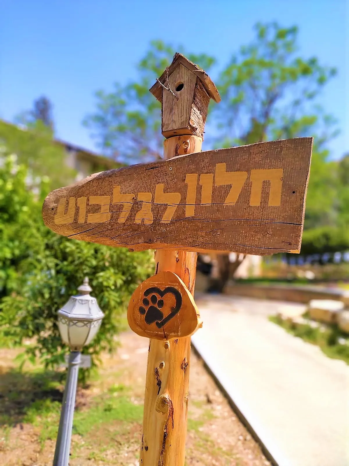 חלון להר