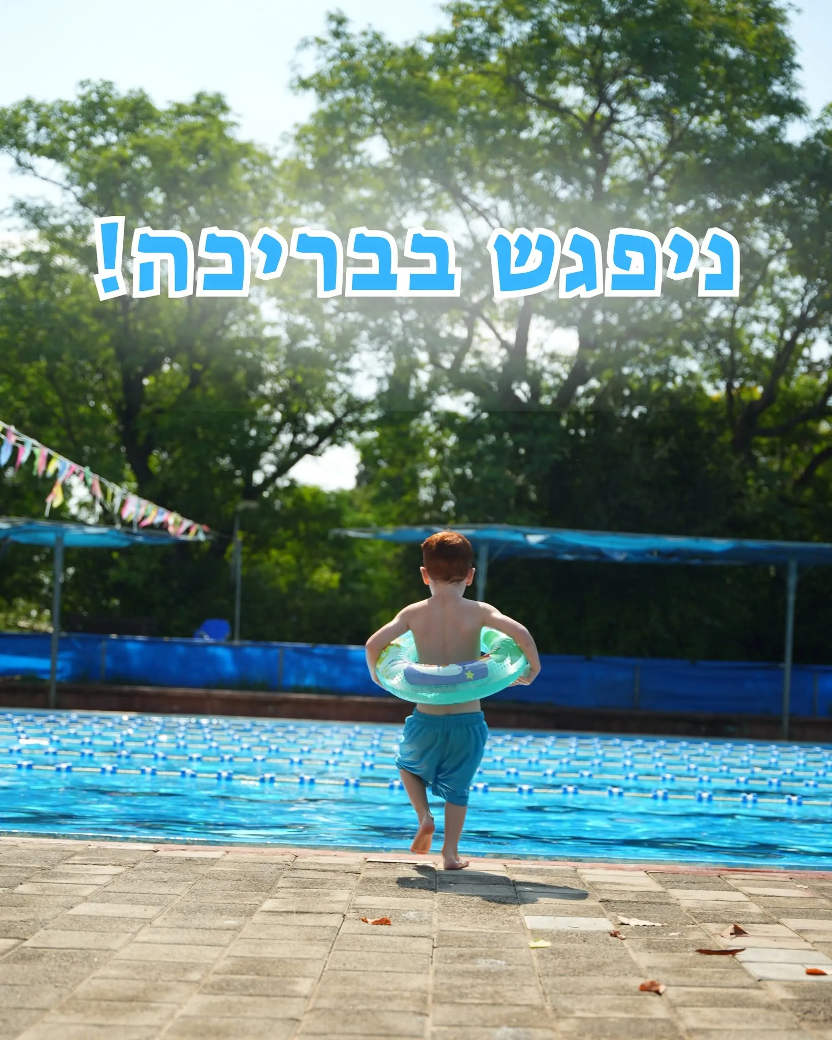 אלפא אירוח