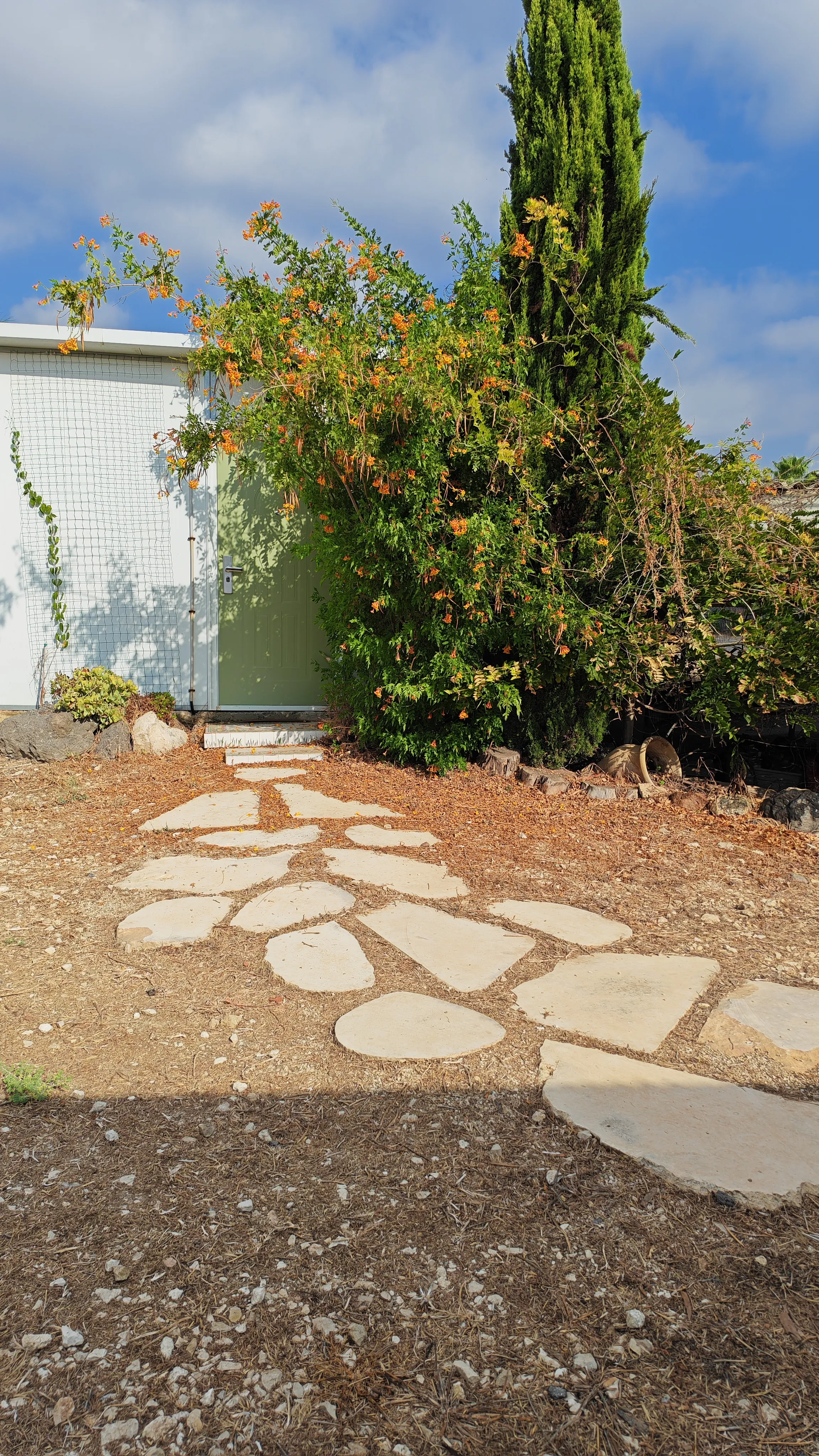 נטי אמדורסקי מטפלת בצמחי מרפא ובתזונה מקרוביוטית