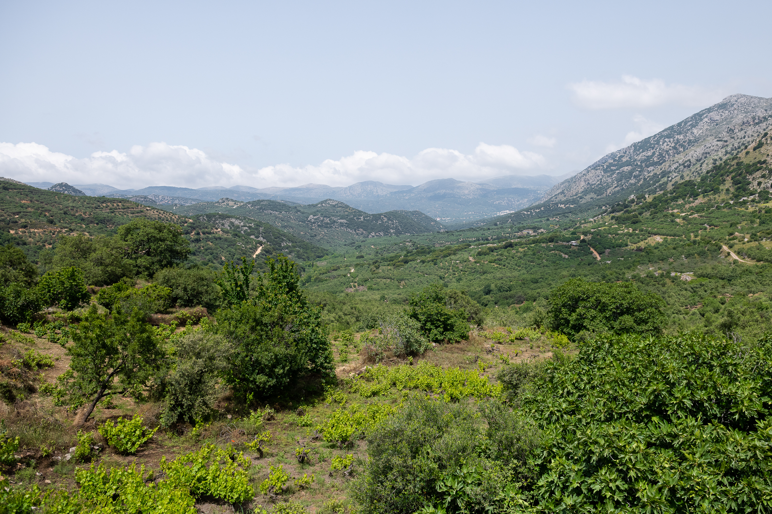 Metohi Nature Living mountain view