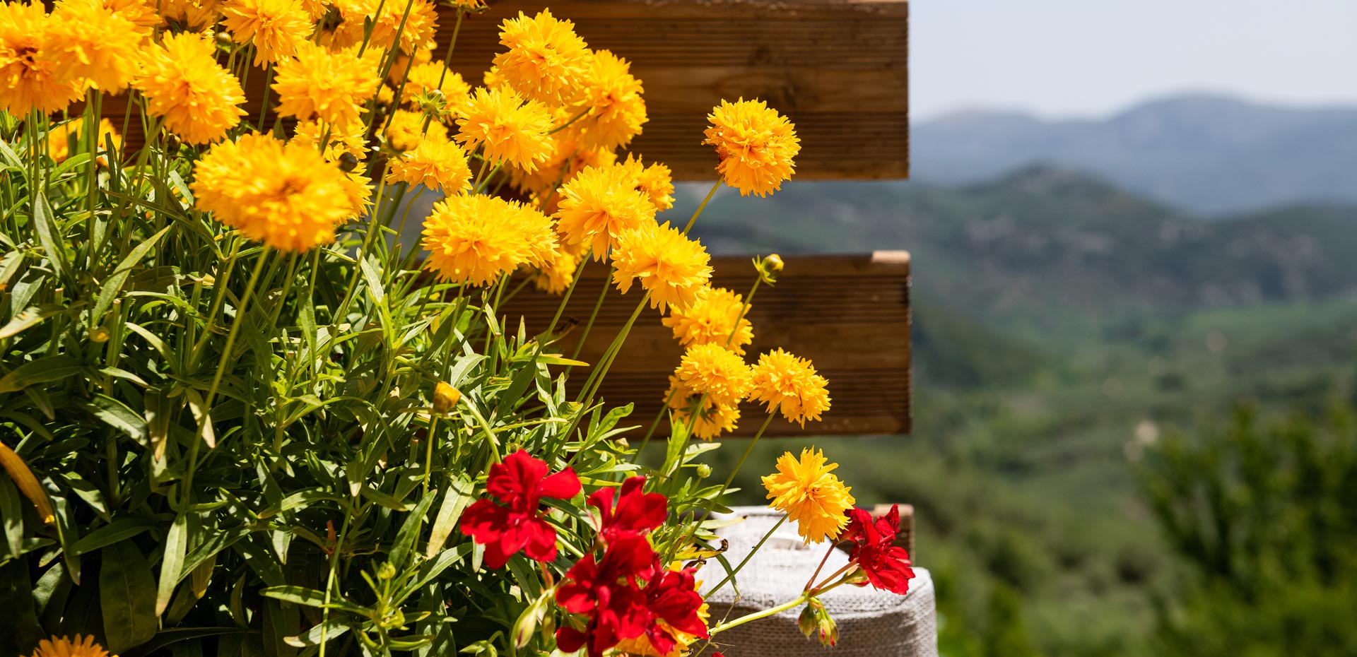 Εξωτερικός χώρος του Metohi Nature Living