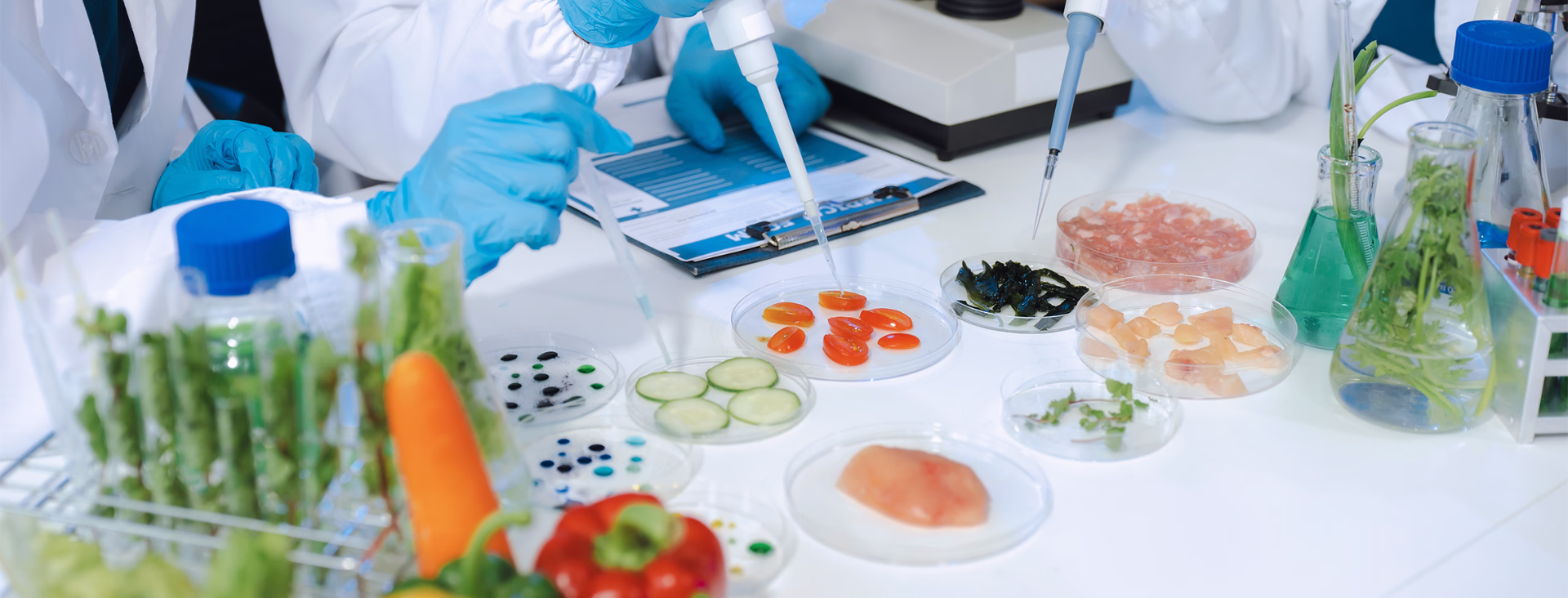 Sistemas de gestión de calidad alimentaria