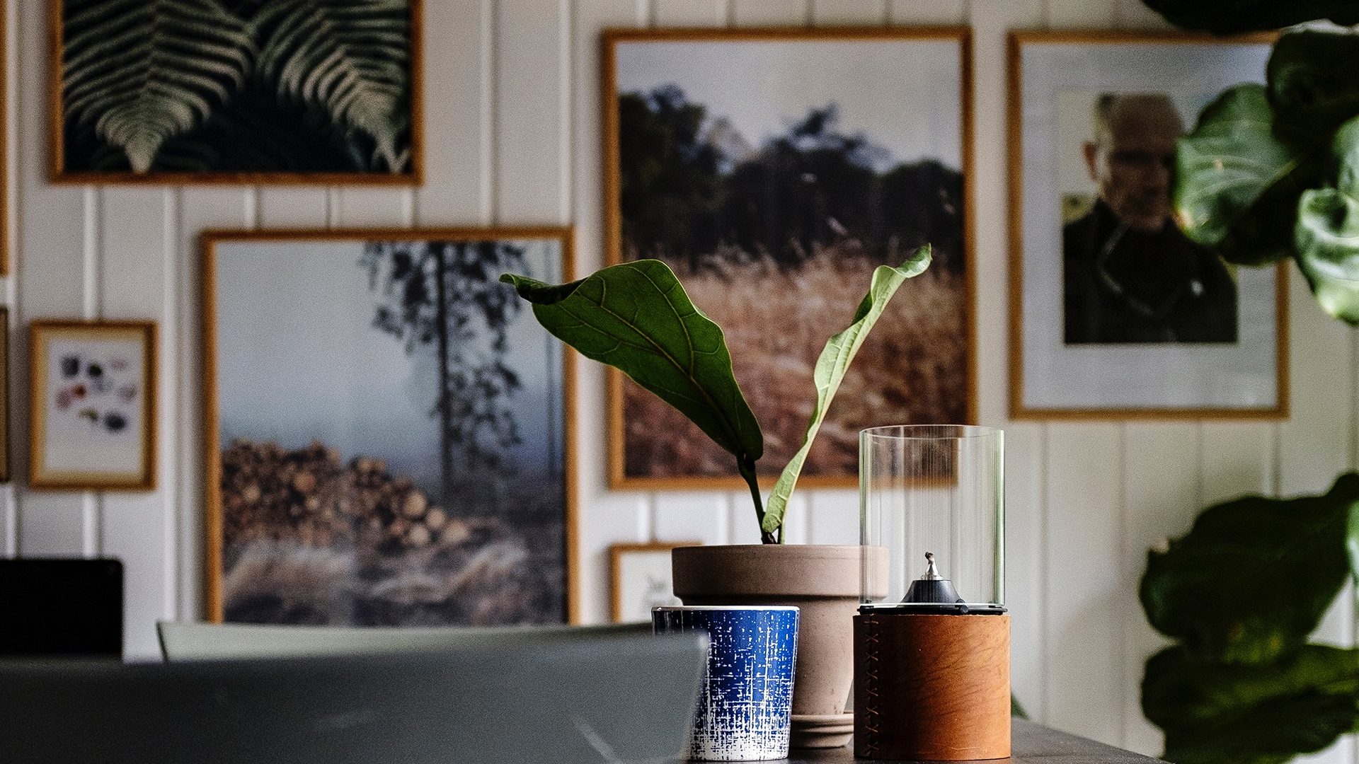 Tendencias 2019 en decoración