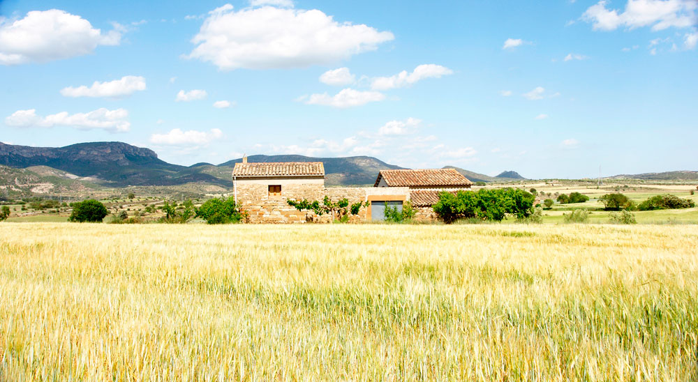 Áticos en venta en Lleida ciudad