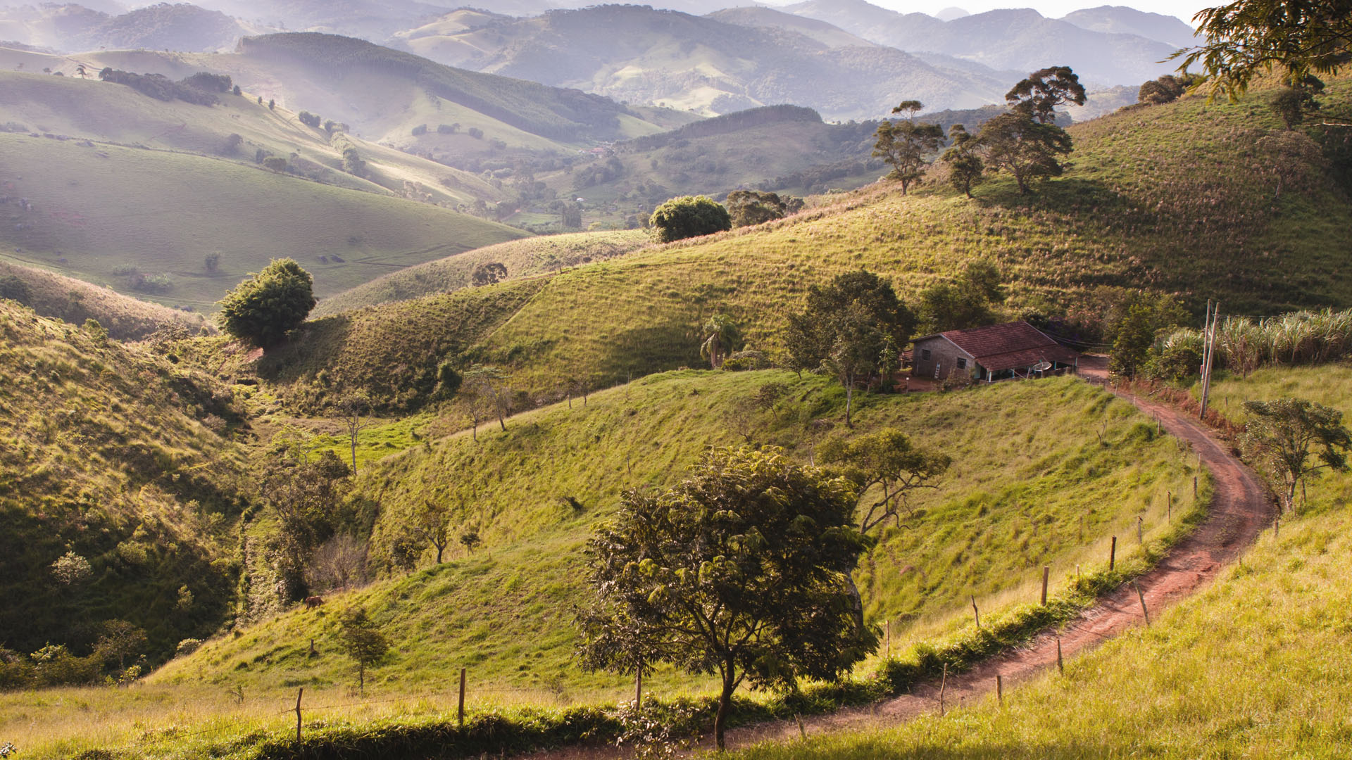 Descubra como os valores do campo influenciam no storytelling de uma empresa