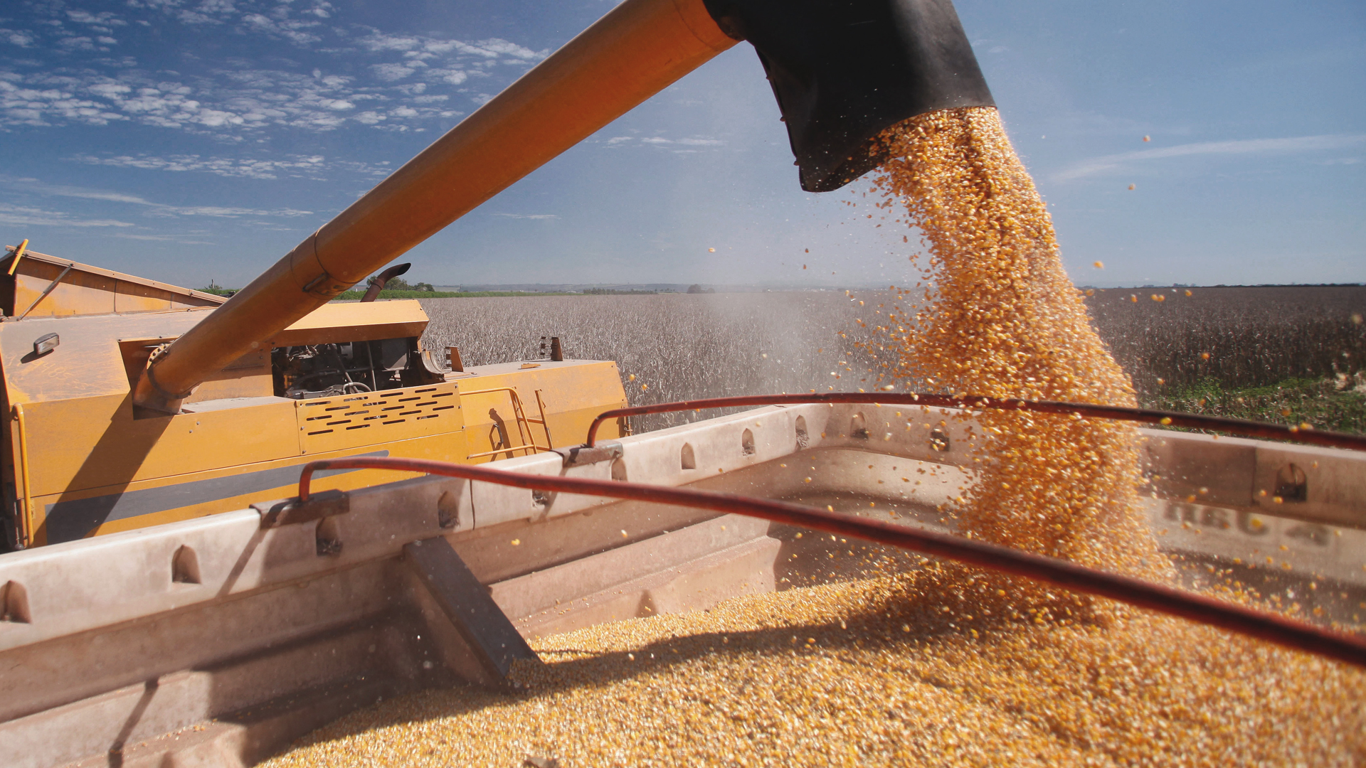 Grupo Algar lança o Acelera Agro para fomentar a inovação na agroindústria