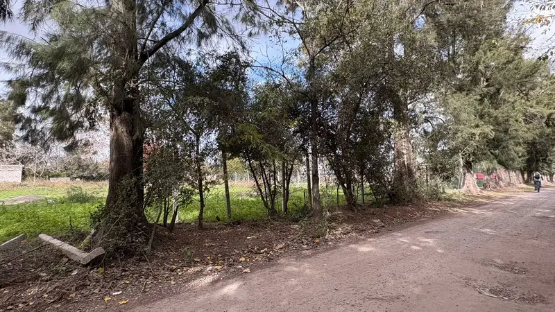 Foto 7