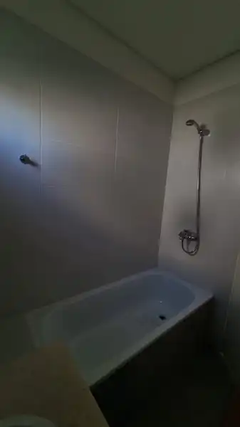 295079.jpg