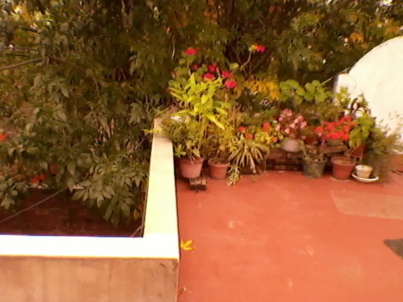 Foto 7