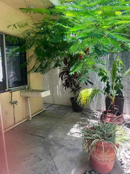 Foto 26