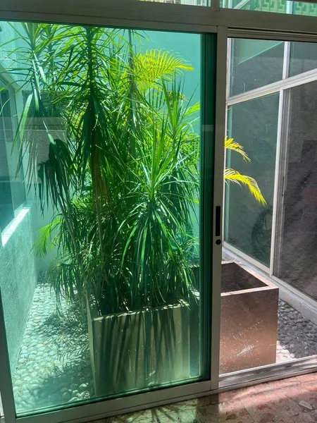 Foto 20