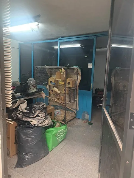 Foto 7