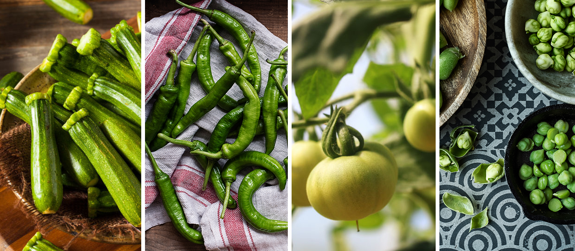 JULY 2018: SPOTLIGHT INGREDIENTS