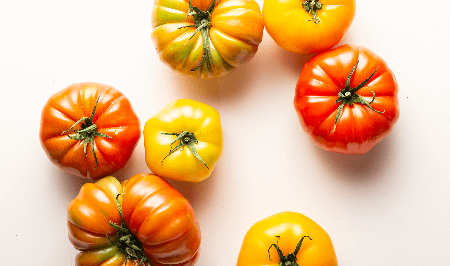Tomates ancestrales