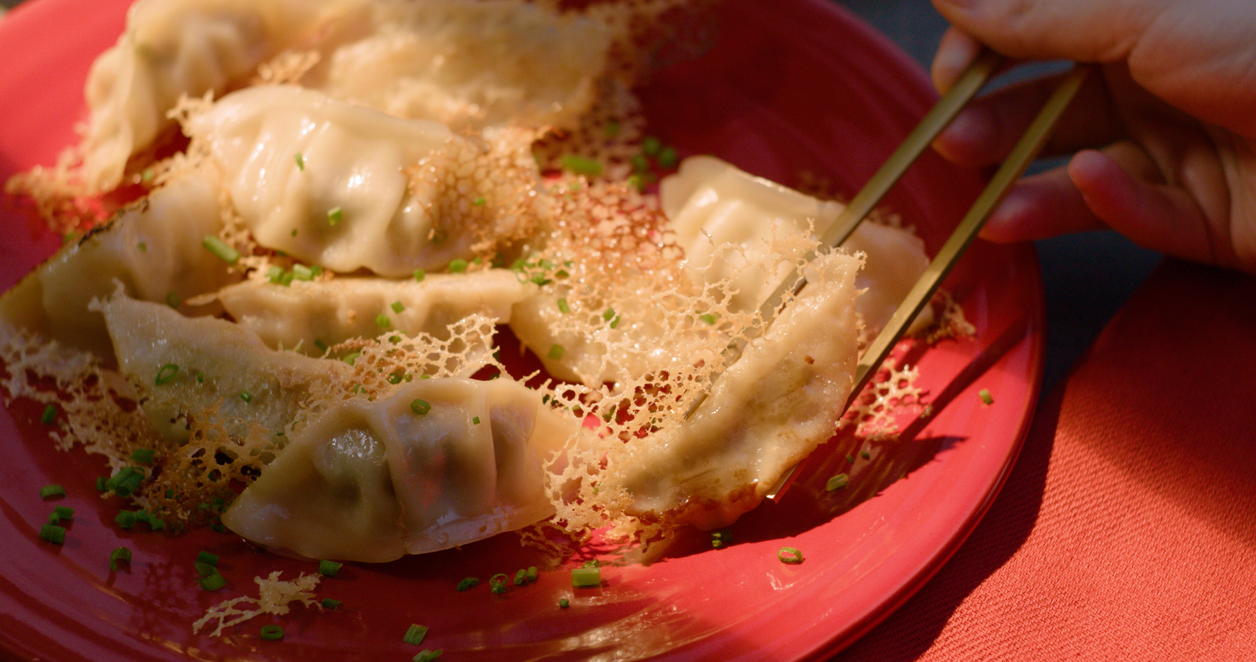Comment cuisiner des Dumplings