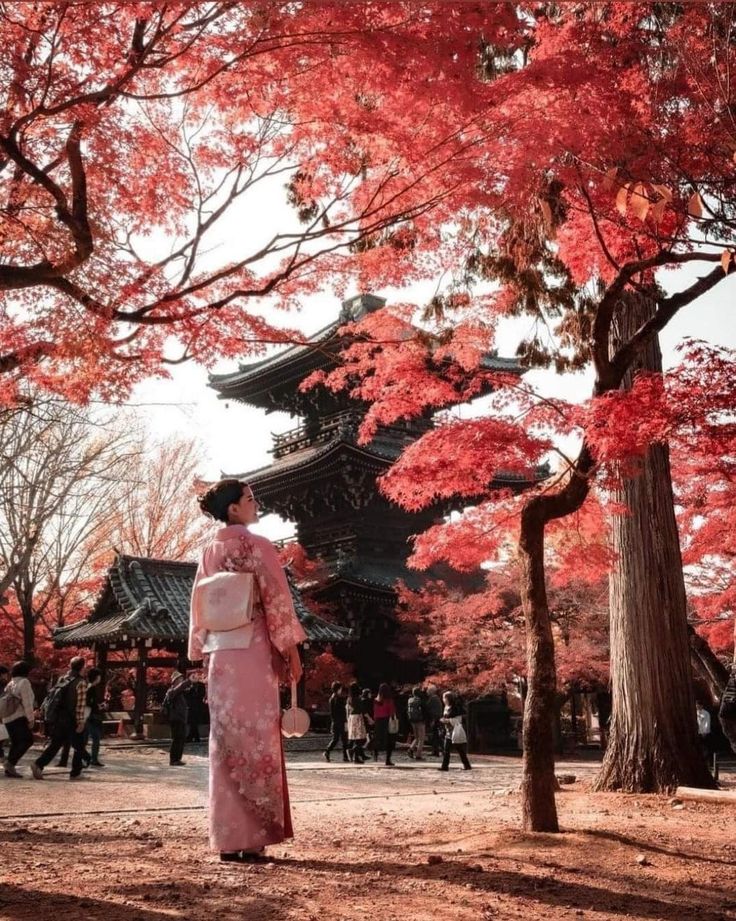 Kimono Experience - 3