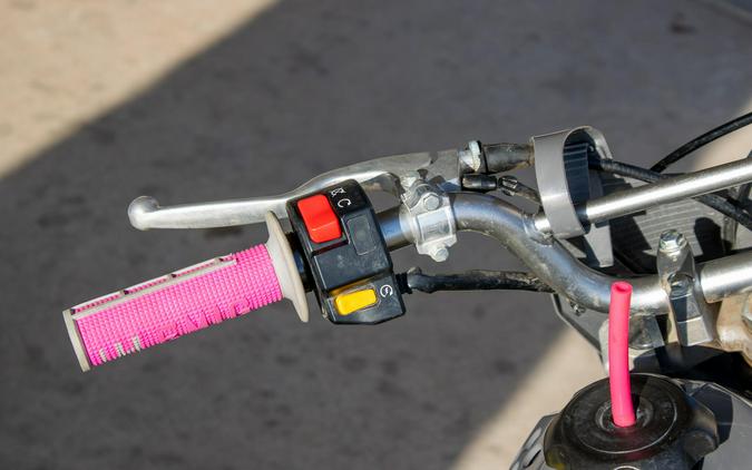 2025 KAWASAKI KLX 110R L