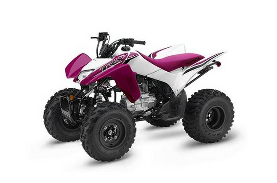 2023 Honda TRX 250X