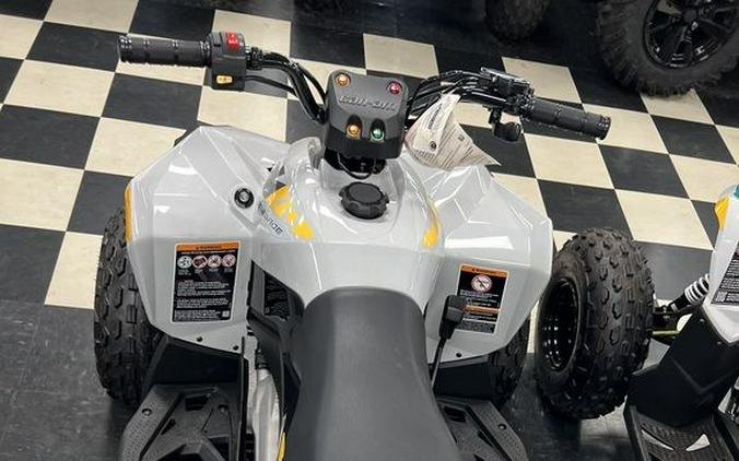 2024 Can-Am® Renegade 70 EFI