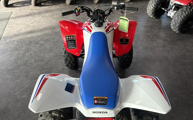 2026 Honda TRX250X