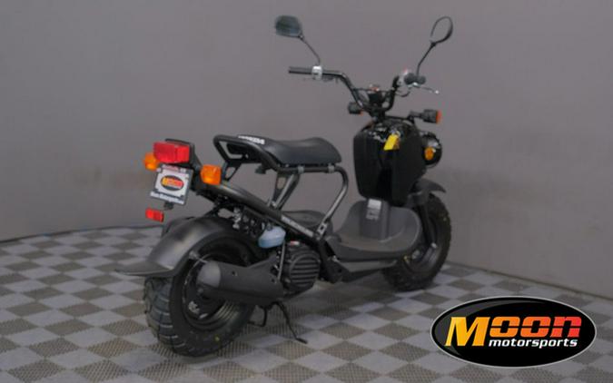 2024 Honda Ruckus