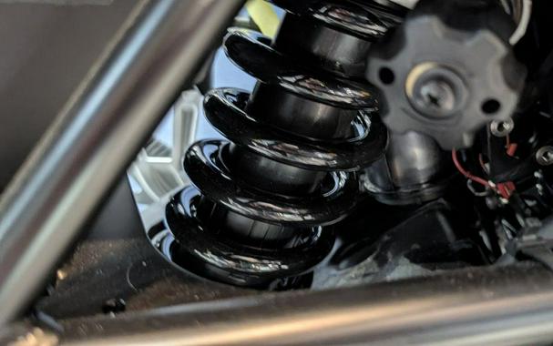 2025 BMW F 800 GS Light White