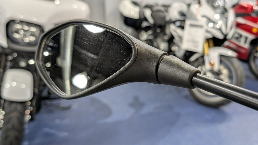 2025 BMW F 800 GS Light White