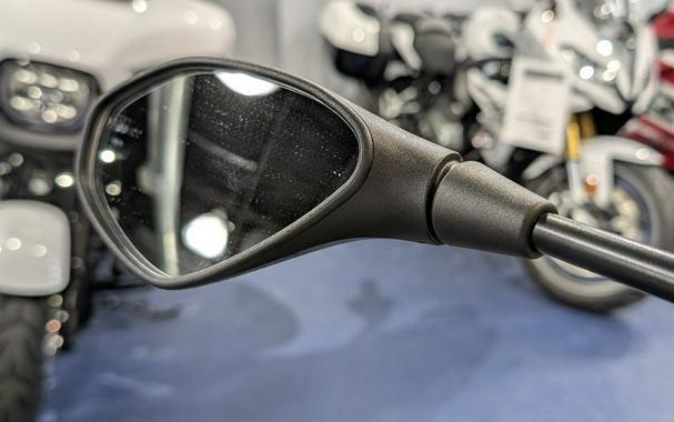 2025 BMW F 800 GS Light White