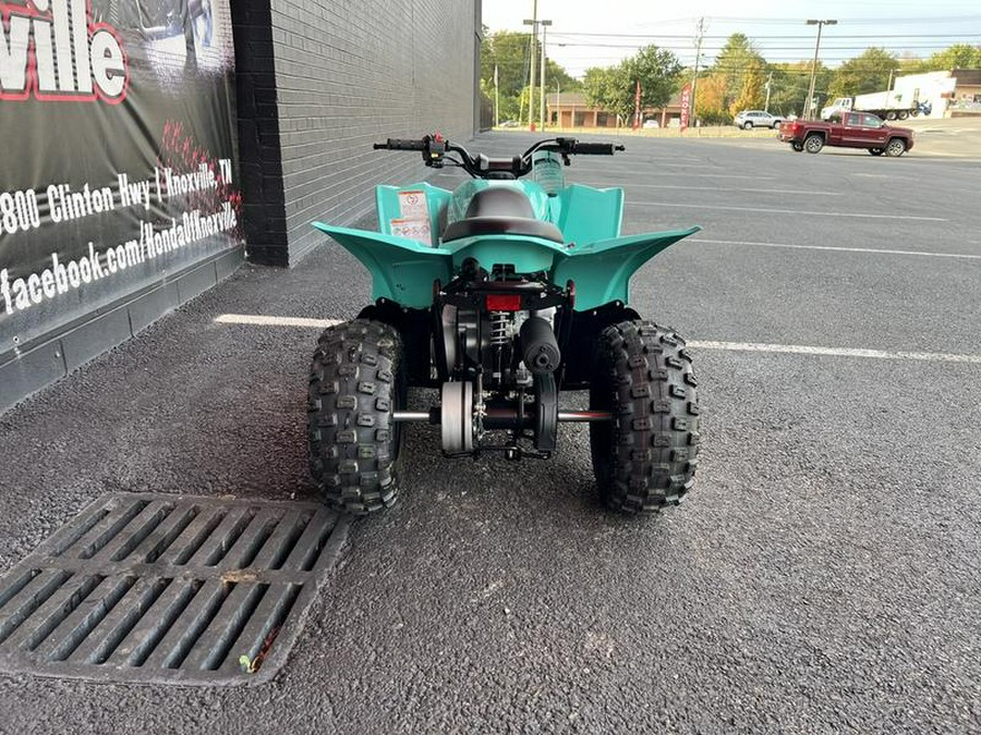 2025 Yamaha YFZ50