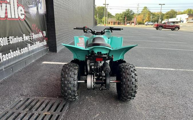 2025 Yamaha YFZ50