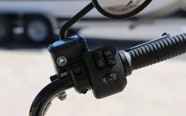 2025 INDIAN MOTORCYCLE CHIEF BOBBER DARK HORSE