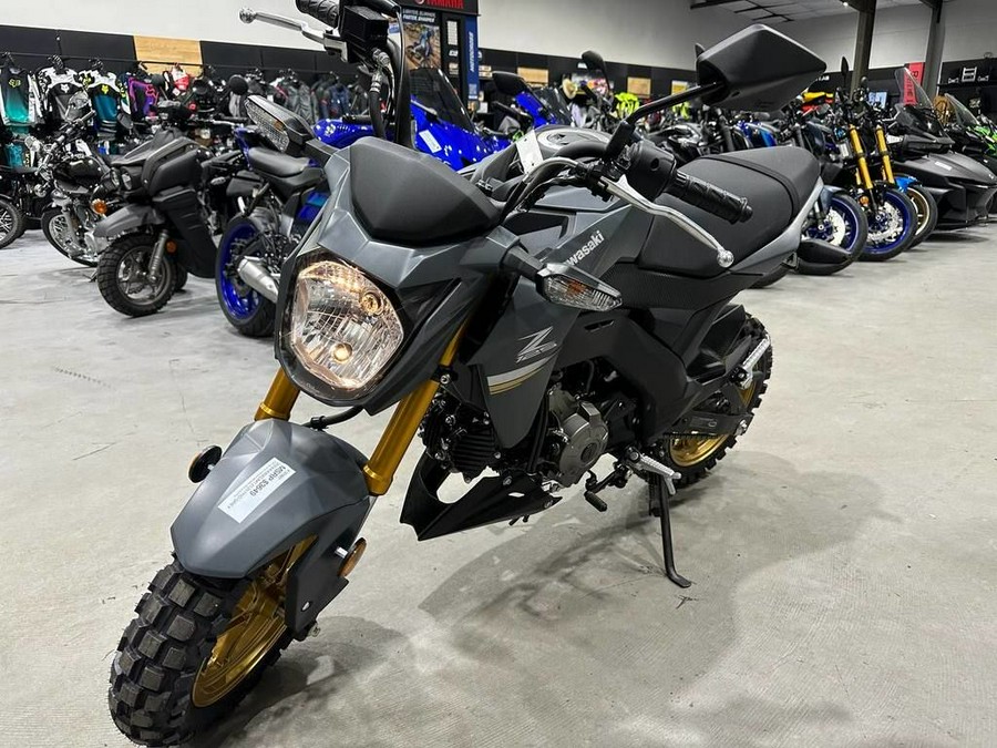 2024 Kawasaki Z125 PRO