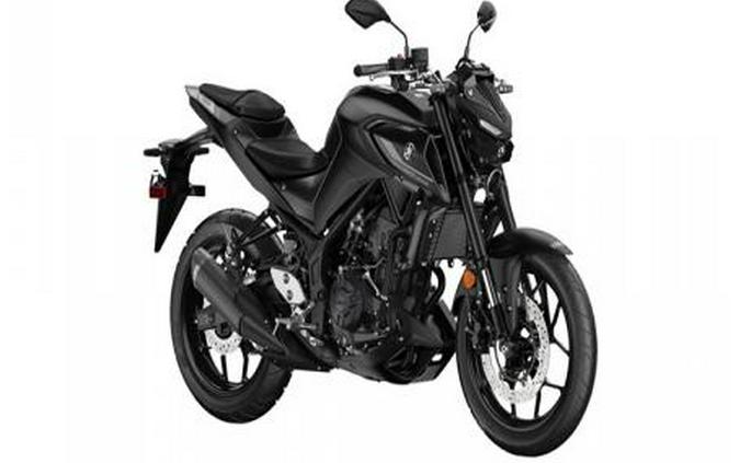 2024 Yamaha MT 03