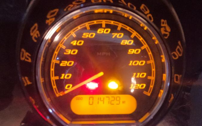 2021 Harley-Davidson Street Glide Special Snake Venom - Black Finish