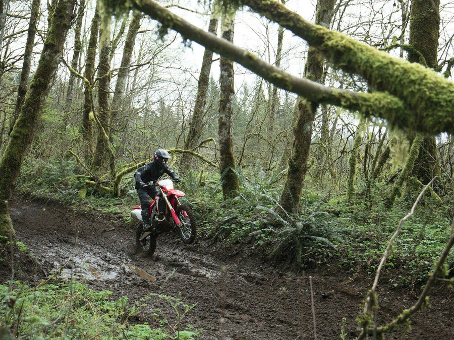 2023 Honda CRF 450X