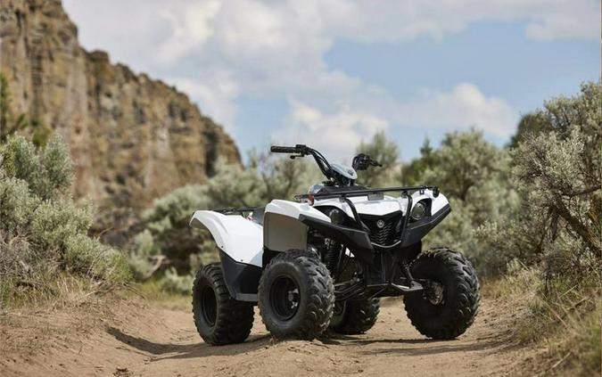 2024 Yamaha GRIZZLY 90