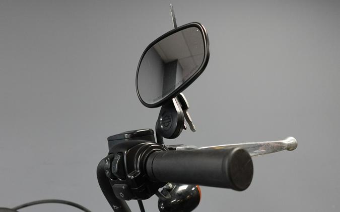 2021 Harley-Davidson Street Bob 114 FXBBS