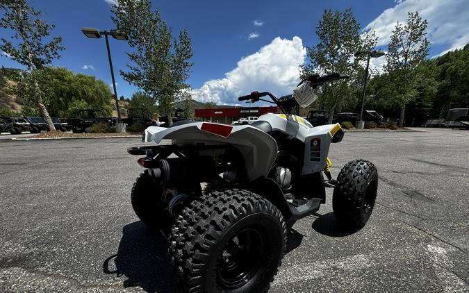 2026 CAN-AM RENEGADE 110 EFI Catalyst Grey - BA2654