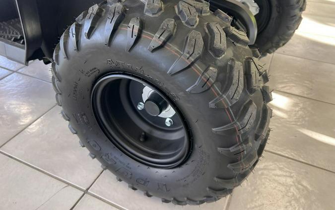 2026 Yamaha Grizzly 110