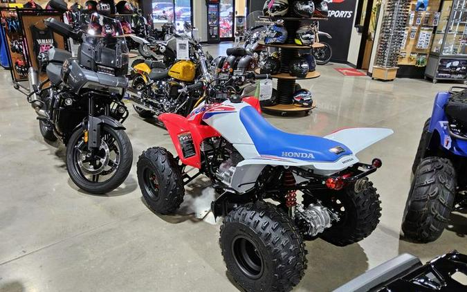 2026 Honda® TRX250X