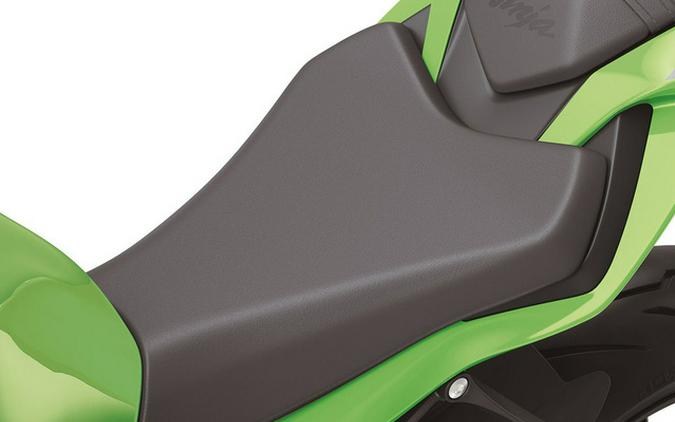 2024 Kawasaki Ninja ZX-6R KRT Edition