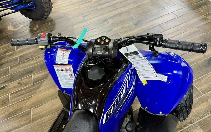 2026 Yamaha Raptor 110